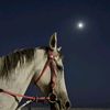 taoto_1123