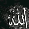 user7856225627220