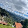 www.toktok.comanthonygon