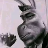 dawidkamil81