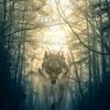 lonewolf2957