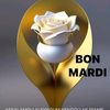 user2340488224296