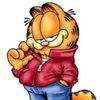 yourboygarfield