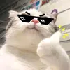 ông trùm nhận hàng