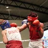 ldobo08
