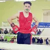 takar_boxer