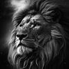 Tolga