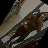 sandra.facundo.da