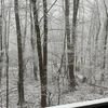 randomvidsstuff