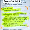 detodo_unpoco91