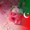 muntazirafridi725