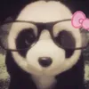 mar_borboleta