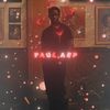 paaul.amp