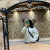 ur_louka123