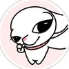 toilagexsay