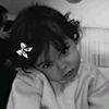 gull_03.12