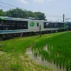 dy6yo688zaw5