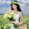 1234phucnhu