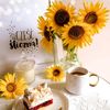 vip_vip12345