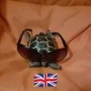 debradunne678
