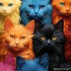 jo_han_sid