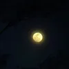 darksky264