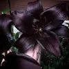 elya_gleba48