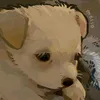 _arthuritos_
