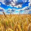 khrystyna_2310