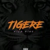 tigre_400m