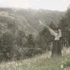 _indipendentist_