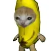 hadassa__rodrig