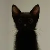 pedrop_feitosa