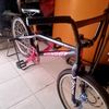 owner_antasari