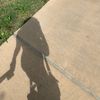 amsi_saenz