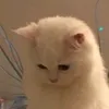 inatorsky