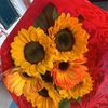 alexialr_1616