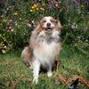 jasper_n_juni