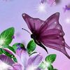mariacollins0208