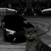 too_fargone