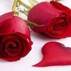 esmamahmoud35