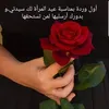 dywndvqptlz1