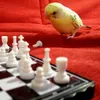 joolz147