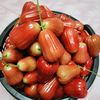 deliazya