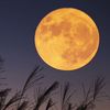 everphasingmoon