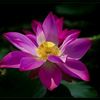 le_tuan_kiet_67
