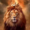 00henrique_alexandre_08