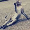 meowkerz0