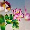 delightingcolours