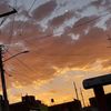 _marisol_221